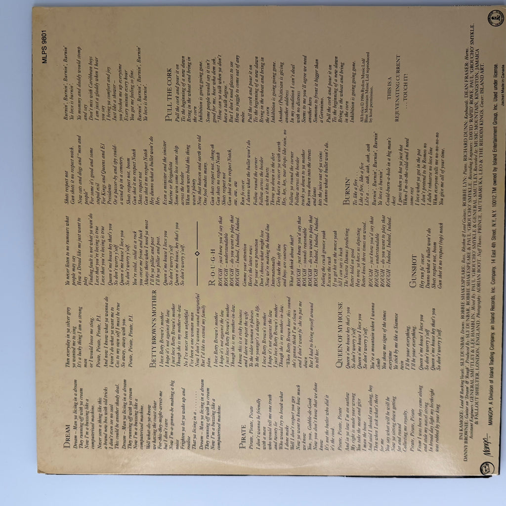 Pirate actual item photo 2