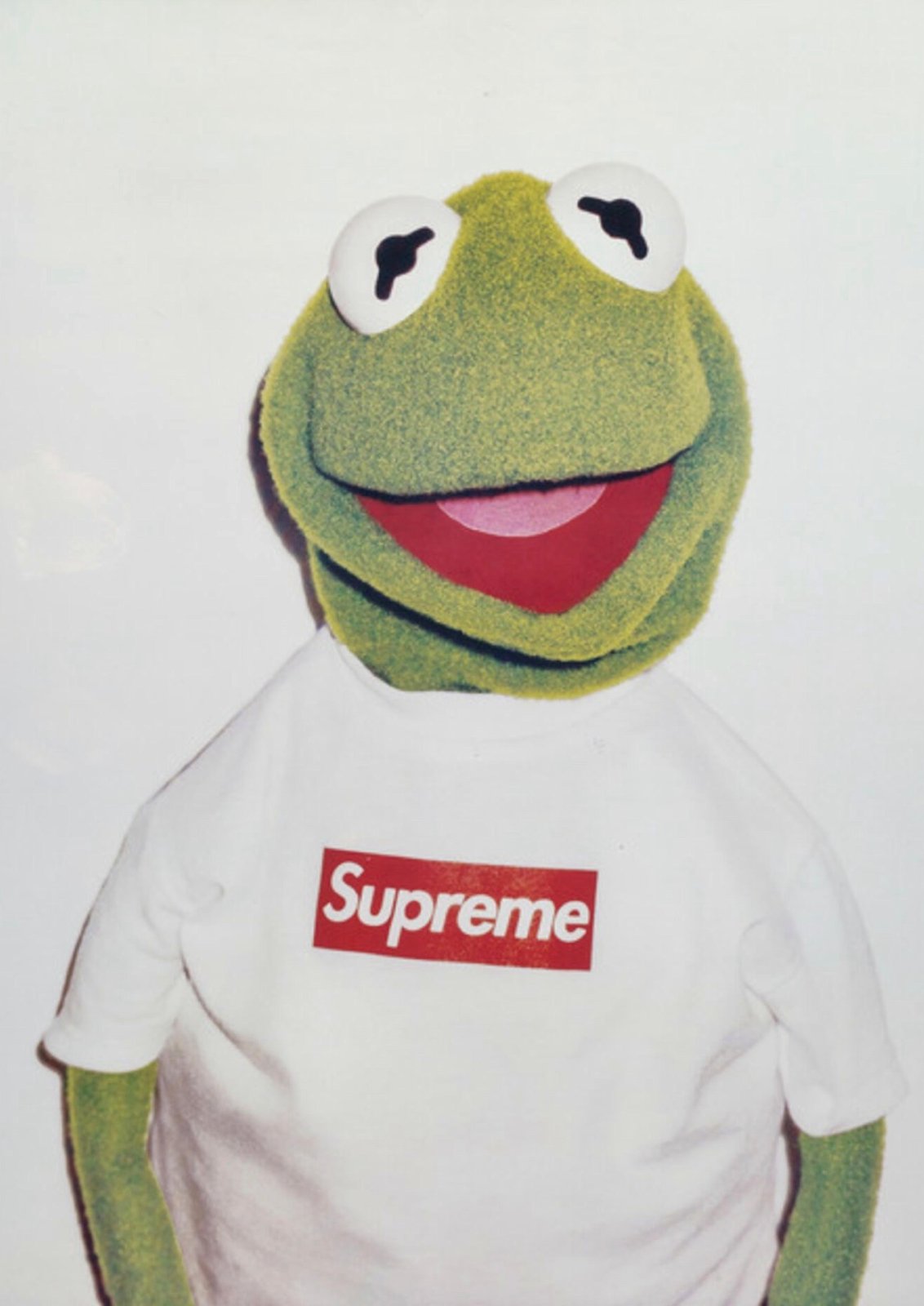 Supreme — Kermit A3 Art Print